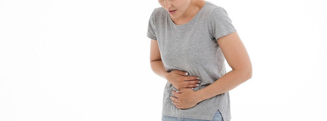 Gut Health and Its Impact on Our Wellbeing