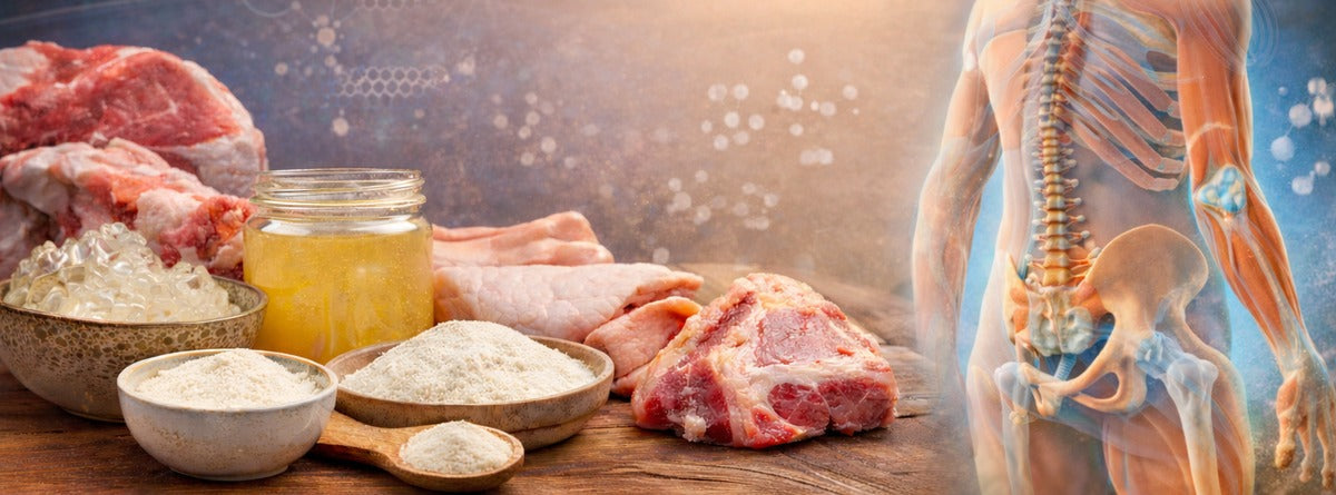 Collagen