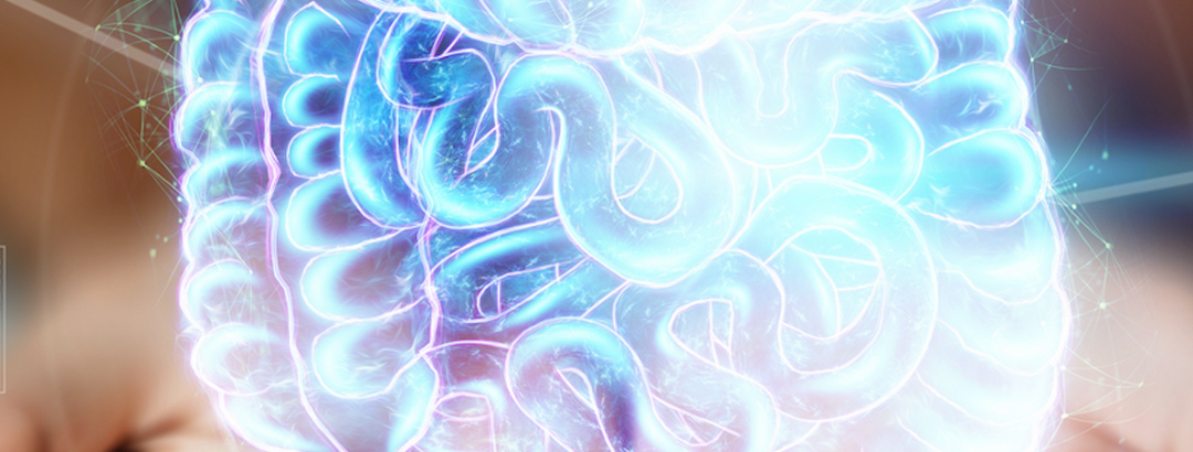The 3 Pillars of Intestinal Supplementation