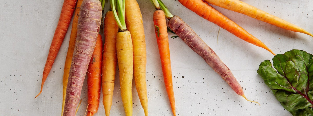 10 Tips for Healthy Digestion